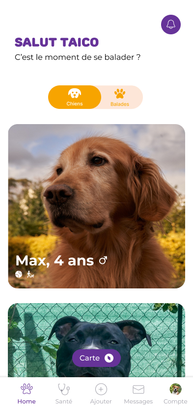 Écran d'accueil Harmony Paws — découvrir les chiens à proximité